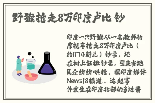 动感小站精灵